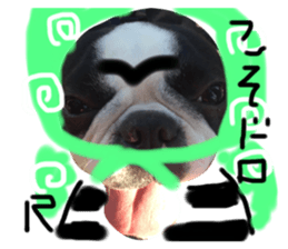 295520032