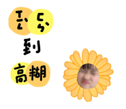 295527939