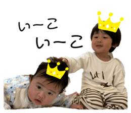 295533017