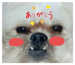 295585030