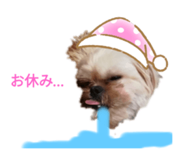 295585060