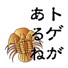 2956671