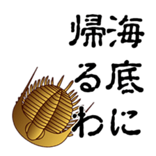 2956674