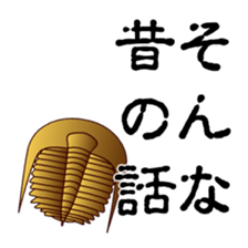 2956675