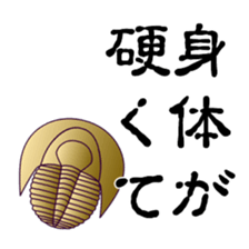 2956684