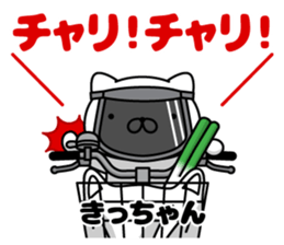 295682240