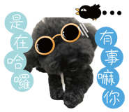 295801331