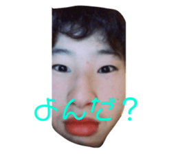 295903366