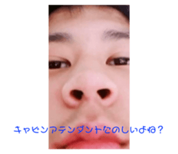 295903368