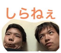 295937553