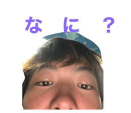 295937555