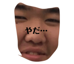 295957827