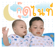 295963056
