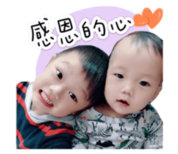 296225002