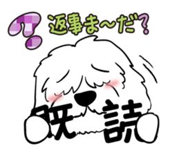 2962555