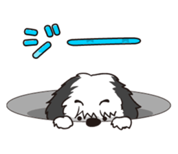 2962585