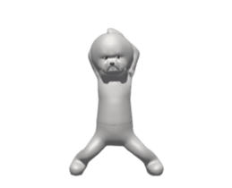 296394834