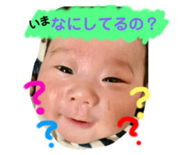 296433531