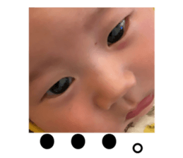 296433542
