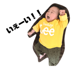 296433547