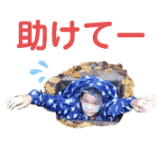296436034