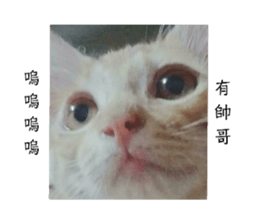 296507922