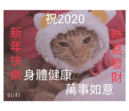 296507925