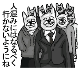 296562796
