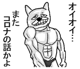 296562802