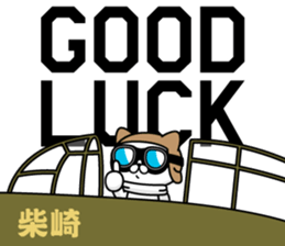 296592253