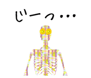 296629651