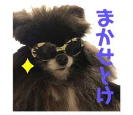 296638939
