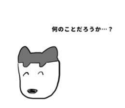 296645762
