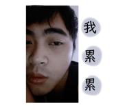 296660911
