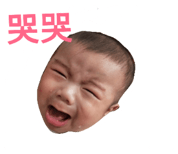 29682740