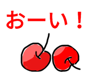296863604