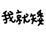 296890211