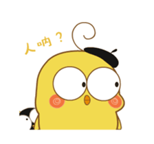 296912080