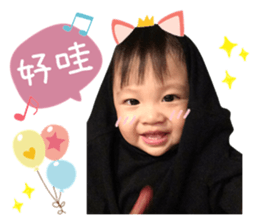 29694023