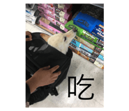 296945971