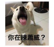 296945972