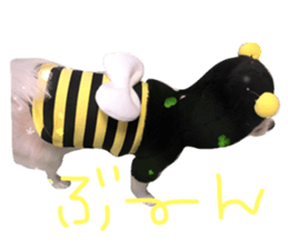 29695753