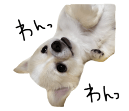 29695756