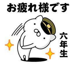 297011859