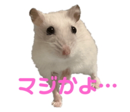 297180532