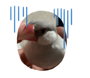 297180595
