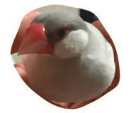 297180597