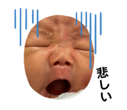 297181578