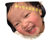 29723462