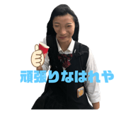 297254557